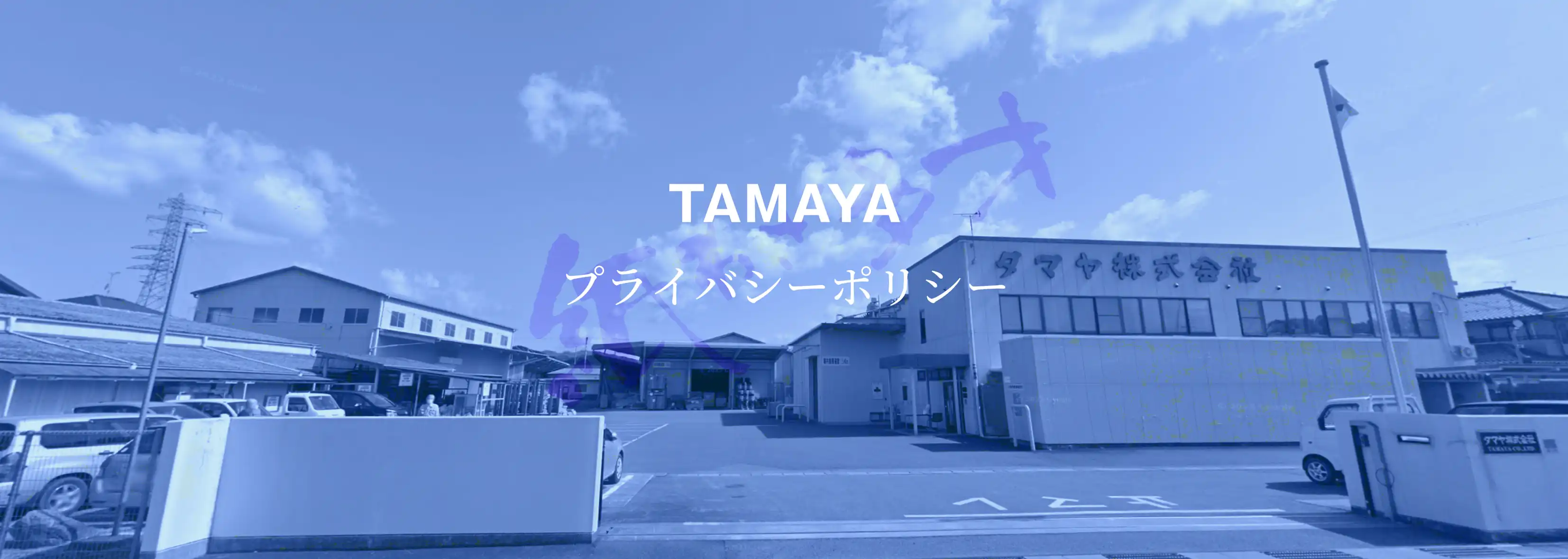 プライバシーポリシー